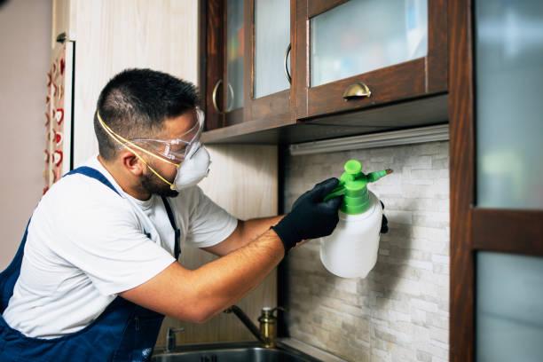 Best Commercial Pest Control Services  in Bell Nyon, CA