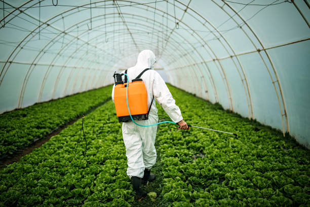 Best Pest Control Near Me  in Bell Nyon, CA