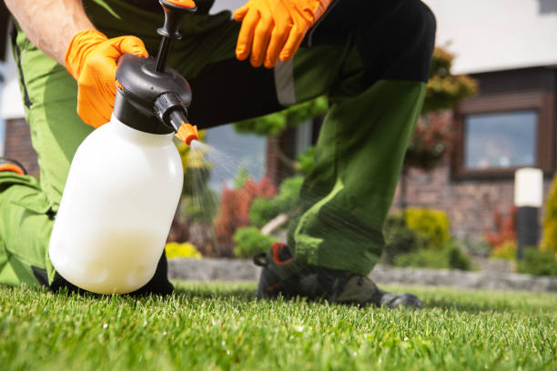 Best Exterminator Services  in Bell Nyon, CA