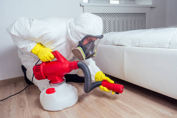 Best Best Pest Control Companies  in Bell Nyon, CA