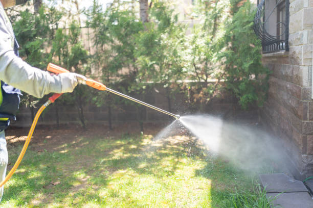 Best Affordable Pest Control Services  in Bell Nyon, CA