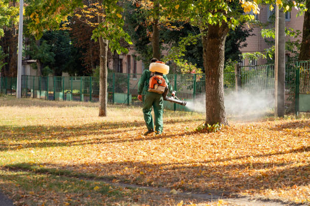 Best Affordable Pest Control Services  in Bell Nyon, CA