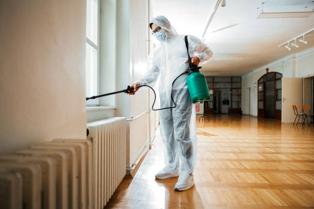 Best Mosquito Control Services  in Bell Nyon, CA